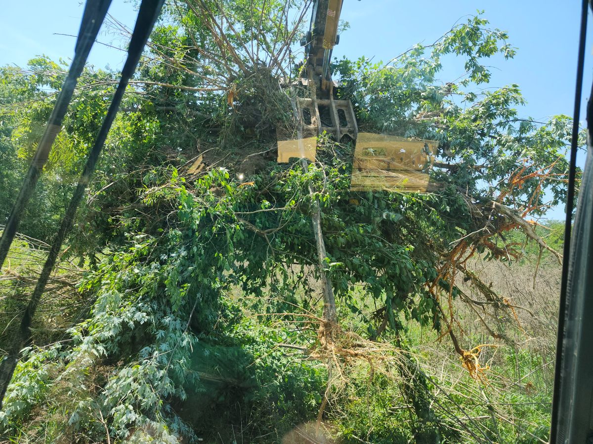 Tree Line Cleanups for BDS Trucking & Excavating in Litchfield, IL