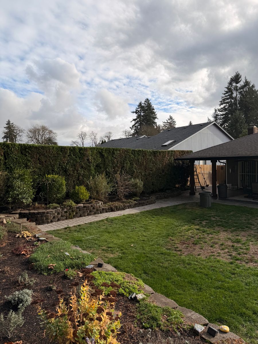 Lawn Aeration for Churape And Son's Landscaping in Vancouver, WA