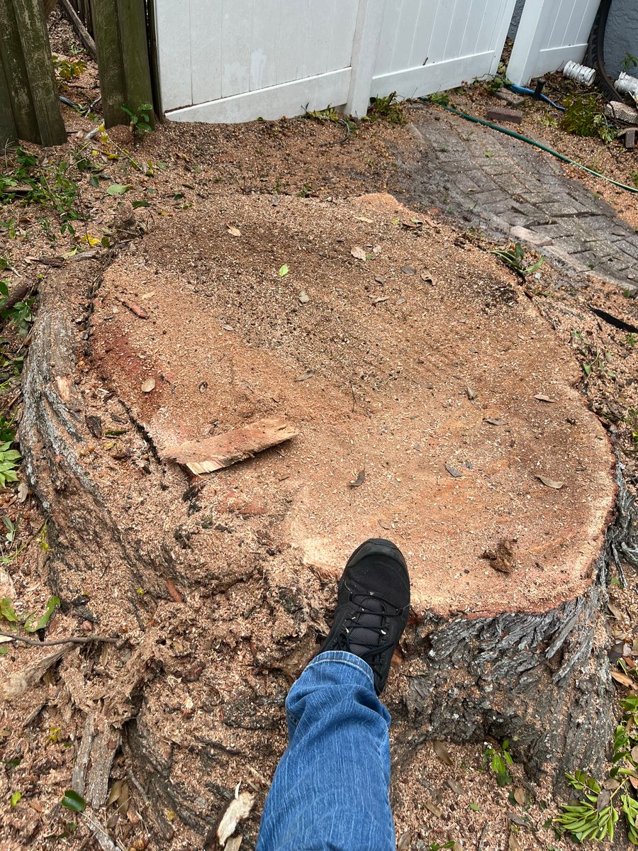 Stump Grinding for KB’s Stump Removal in Seminole, FL