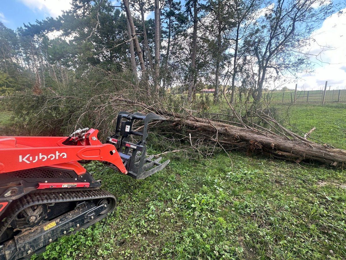 Tree Service for Cisco Kid Landscaping Inc. in Lincolnton, NC