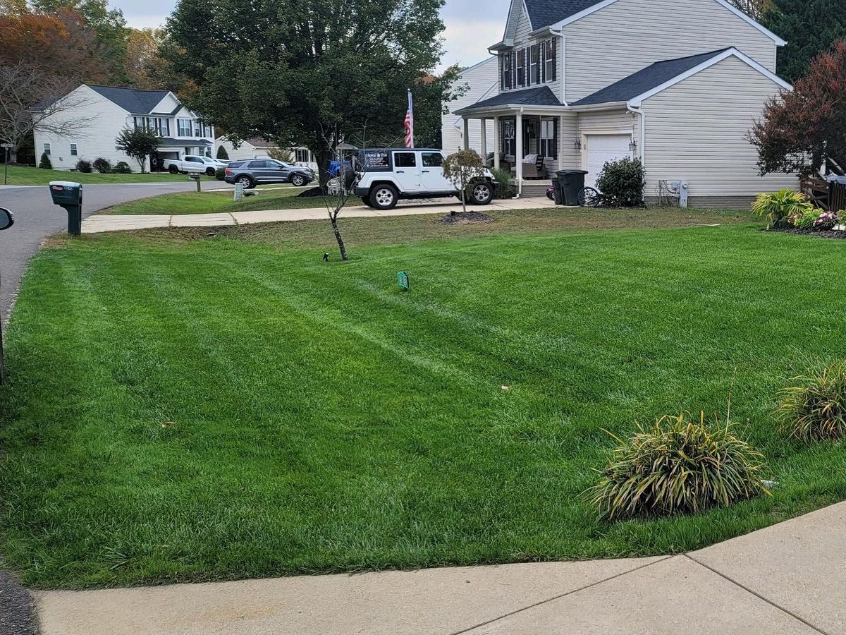 Weed Control & fertilization for Hurley's Cutz in Saint Leonard, MD