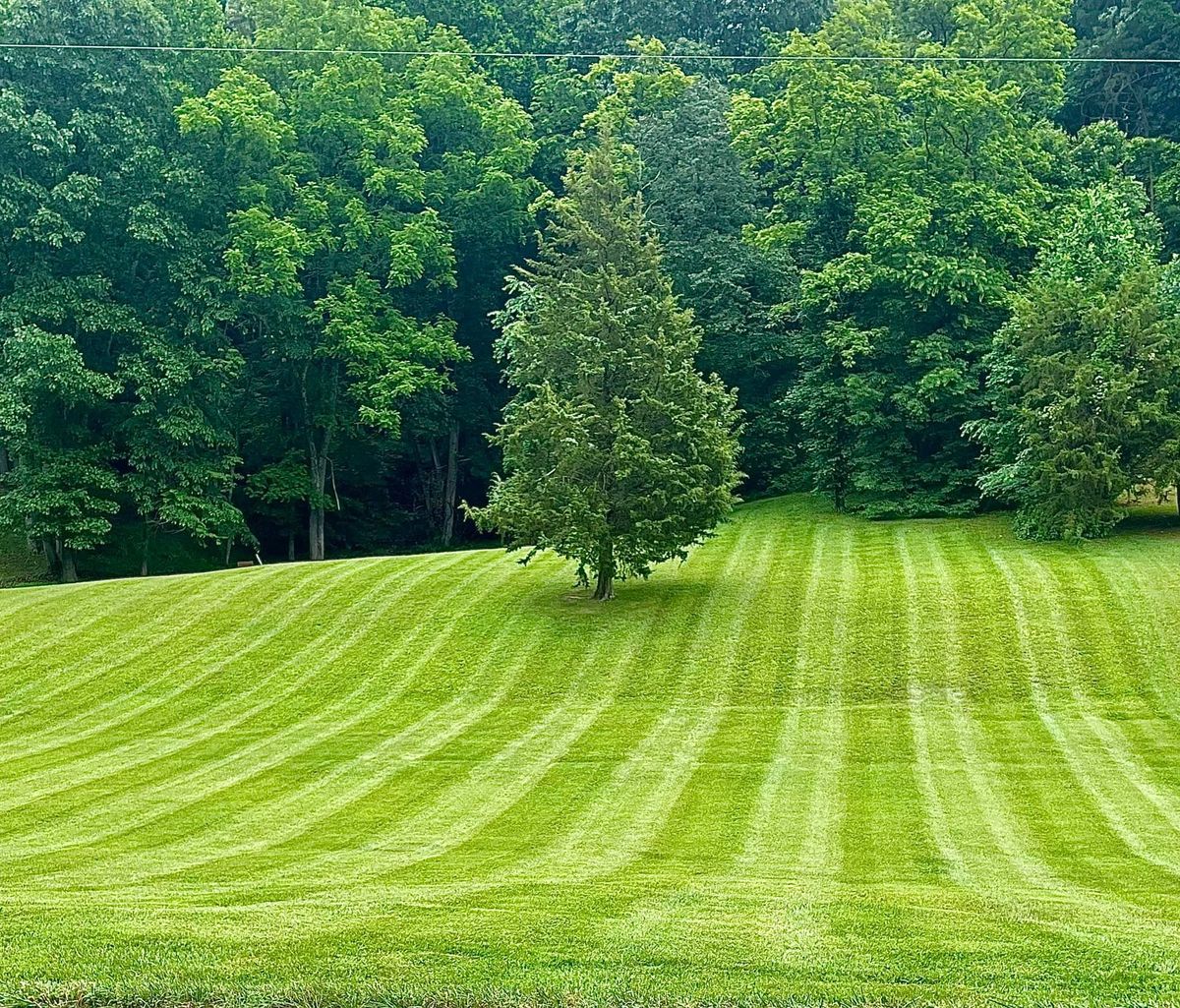 Lawn Maintenance for Diamond Lawn & Land Maintenance in Jonesborough, TN
