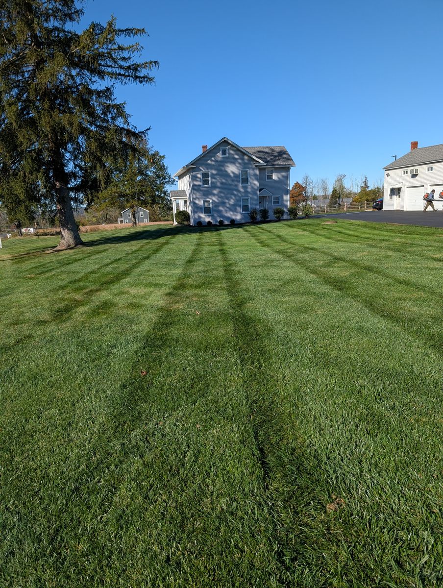 Property Maintenance for Ettere Landscape Services in Flemington, NJ
