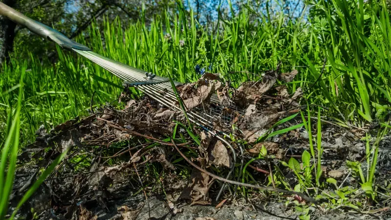Leaf Removal for Greenscape Lawns in Montague, MI