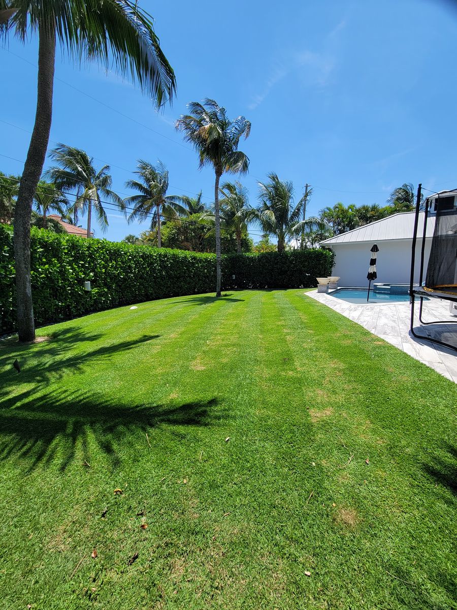 Lawn Care for L & J Palm Tree & Lawn Care Services in Jupiter, FL