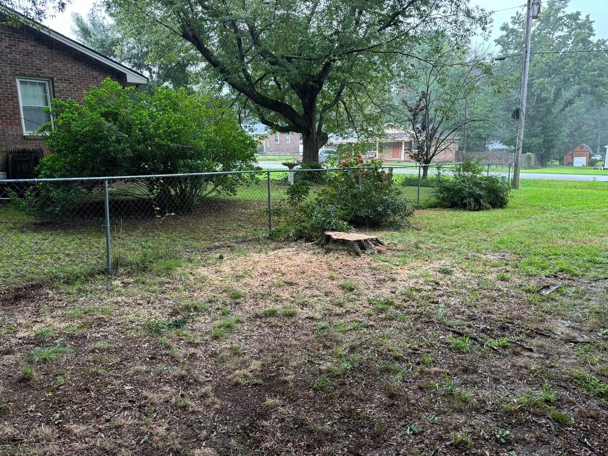 Tree Removal for Total Tree Care in Erwin, North Carolina