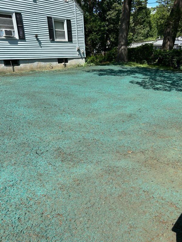Additional Services for Drain Scope Solutions in Agawam, MA