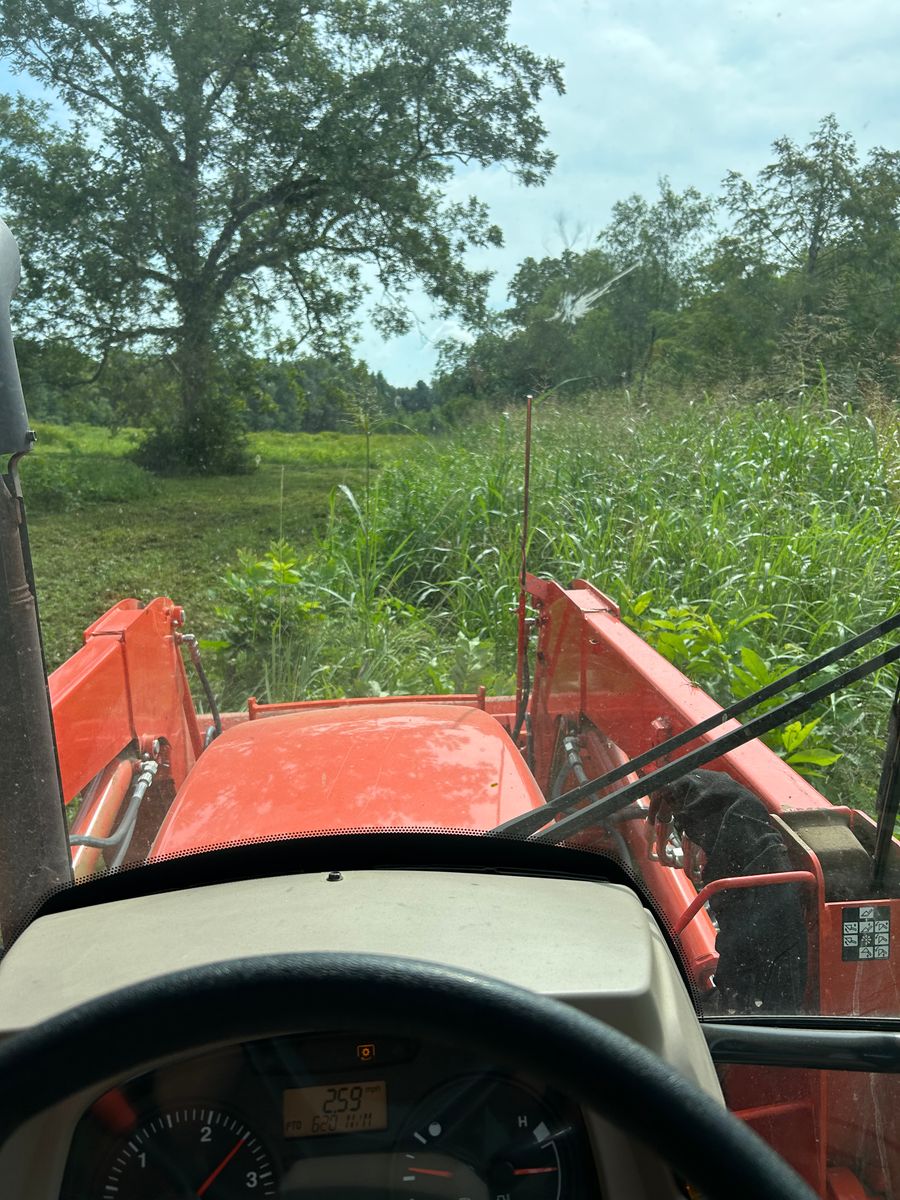 Bush Hogging for Lambert Equipment Services in Hessmer, LA