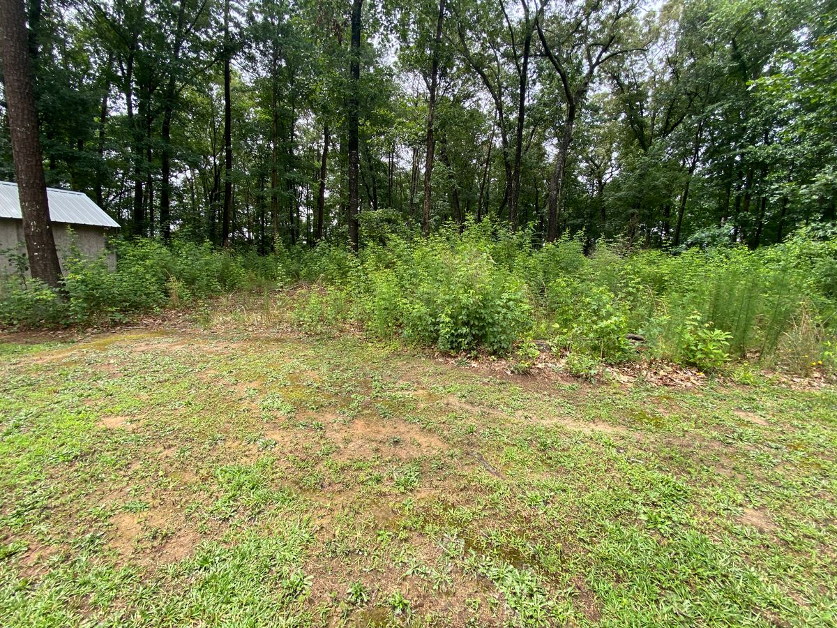 Brush Cutting & Removal for Deeply Rooted Lawn Installations - Sod Installation & Hydroseeding Services in Winder, GA