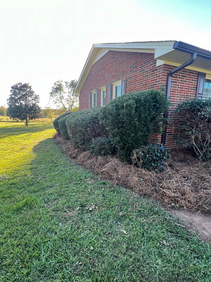 Hedge Trimming for LC Lawn Care & Landscaping in Canon, GA