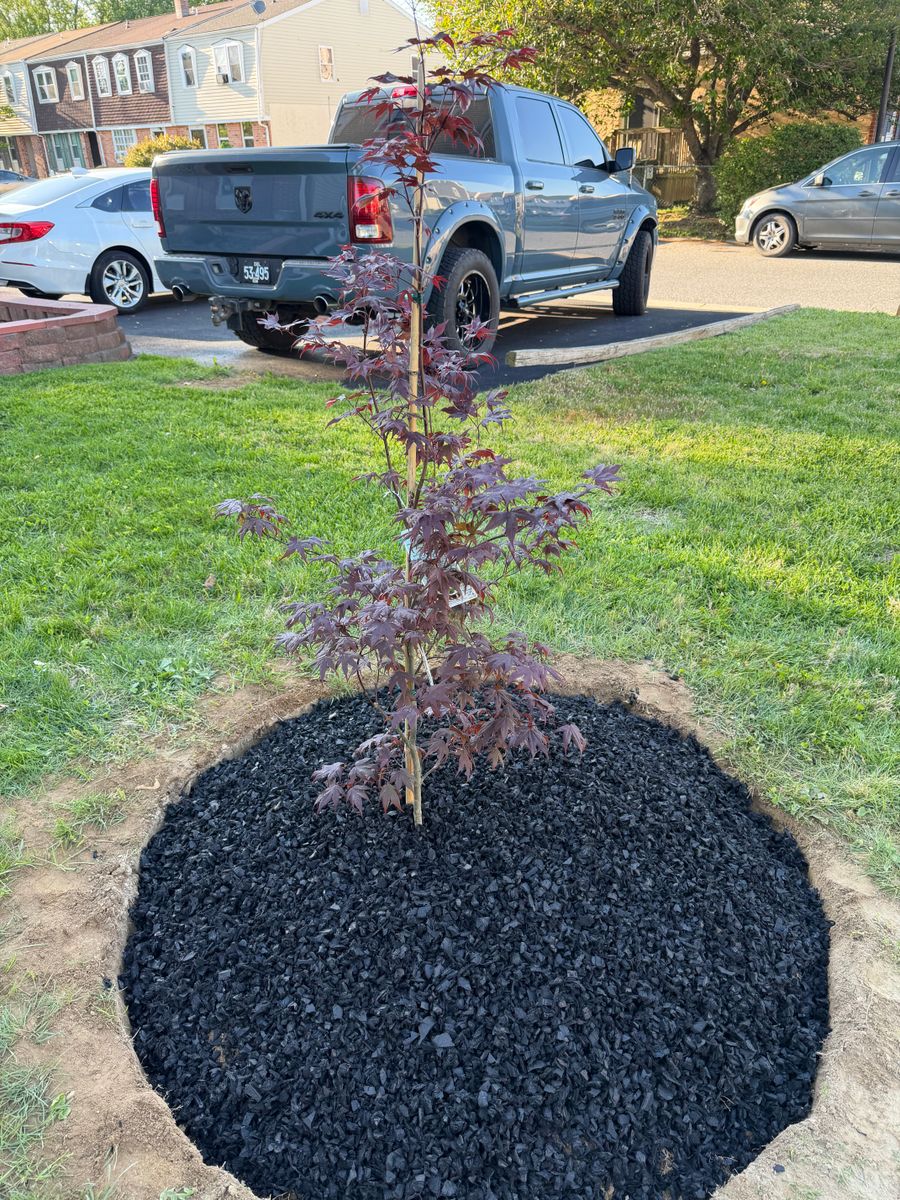 Commercial Landscaping for TAS Lawn Care LLC in Wilmington, DE