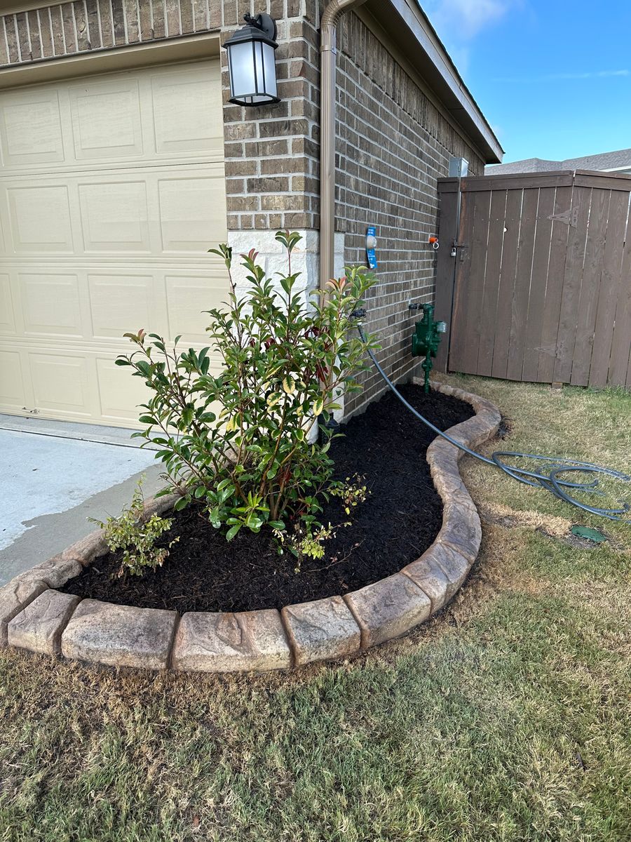 Landscaping for Texas Curb N Borders in Houston, TX