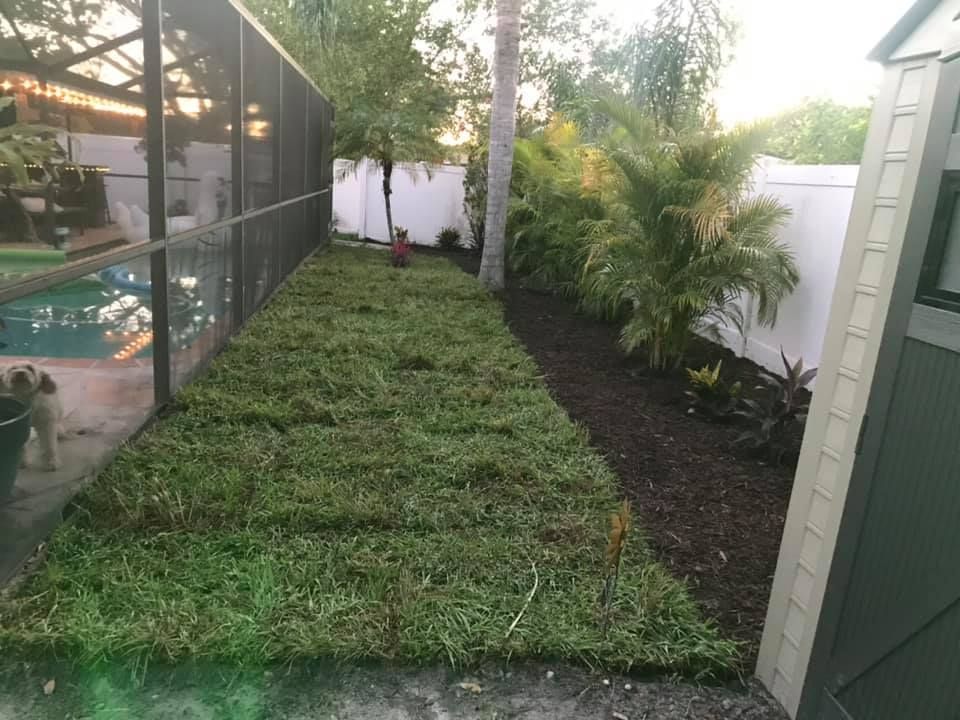 Tree Trimming for Greens Landscaping in Clearwater, FL