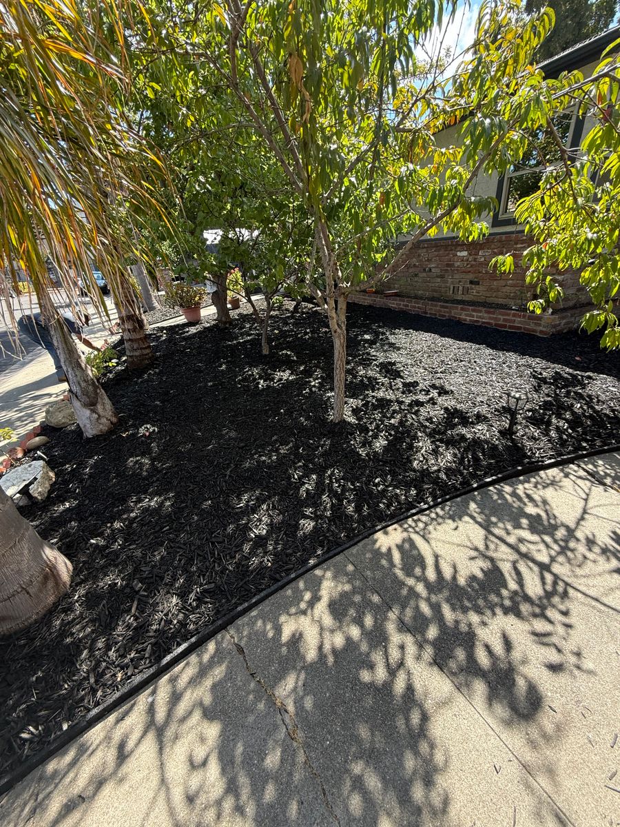 Mulch Installation for CBA Landscaping in Hayward, CA