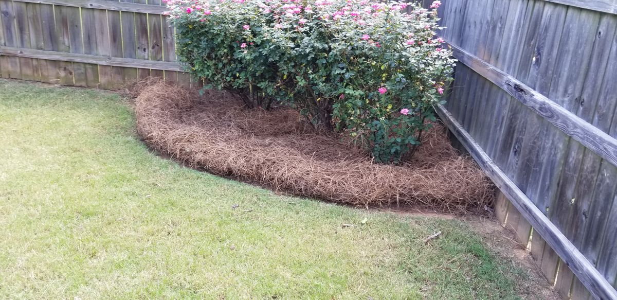 Landscaping for New Beginning Landscape & Remodel LLC in Atlanta, GA