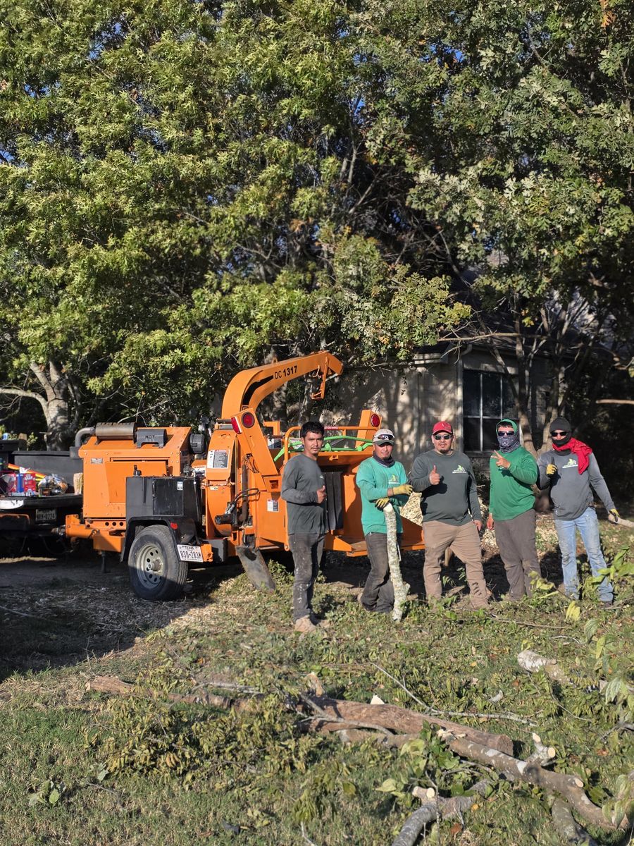 Regular Scheduled Lawn Maintenance for Green Pastures Lawn Care in Bastrop, TX