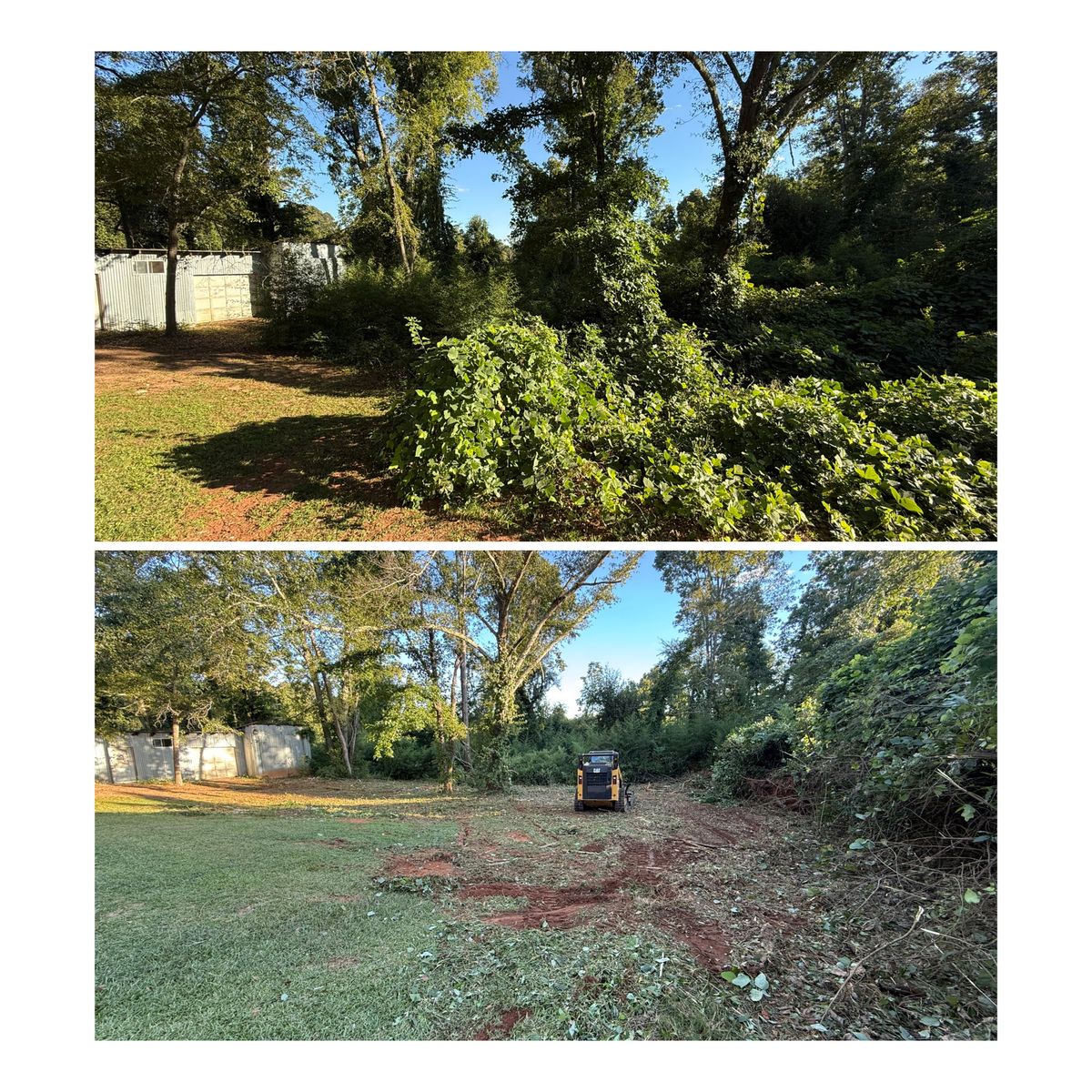 Forestry Mulching for Dirt Pro Land Solutions in Fayetteville, GA