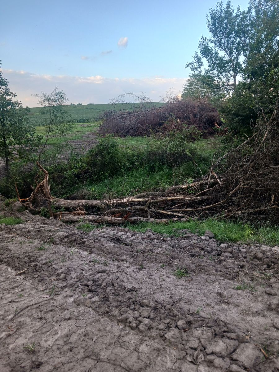 Land clearing for GBA Earthmoving in Keota, IA
