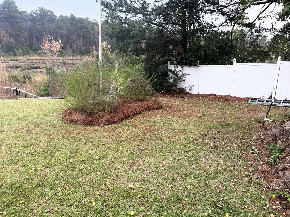 Pinestraw Installation for Shang's Landscaping Service in Columbia, South Carolina