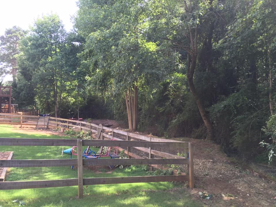 Brush Clearing for Clear Tree Land Solutions in Dawson County, GA