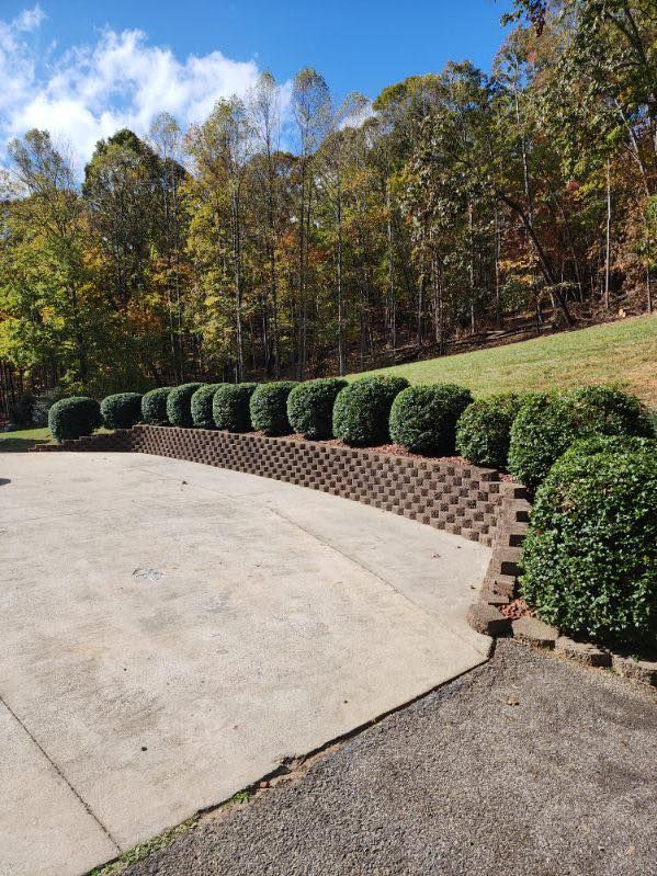 Landscape Design for Brixton’s Lawn Care in Wilkesboro, NC