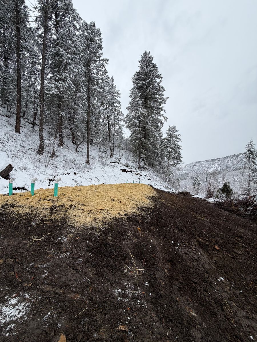 Land Clearing & Demolition for Markham Septic & Excavation in Pagosa Springs, CO