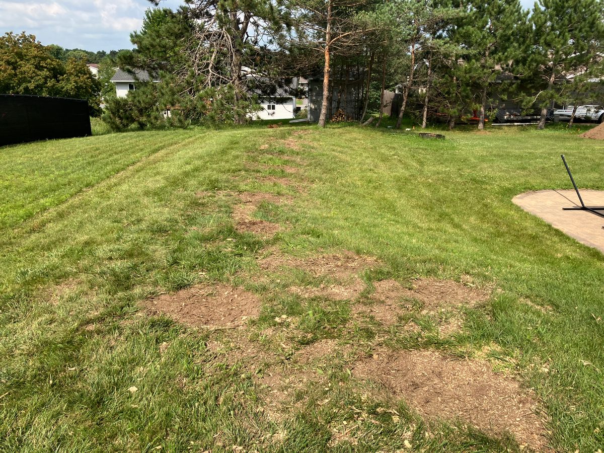 Stump Grinding for Brush Busters in Wausau, WI