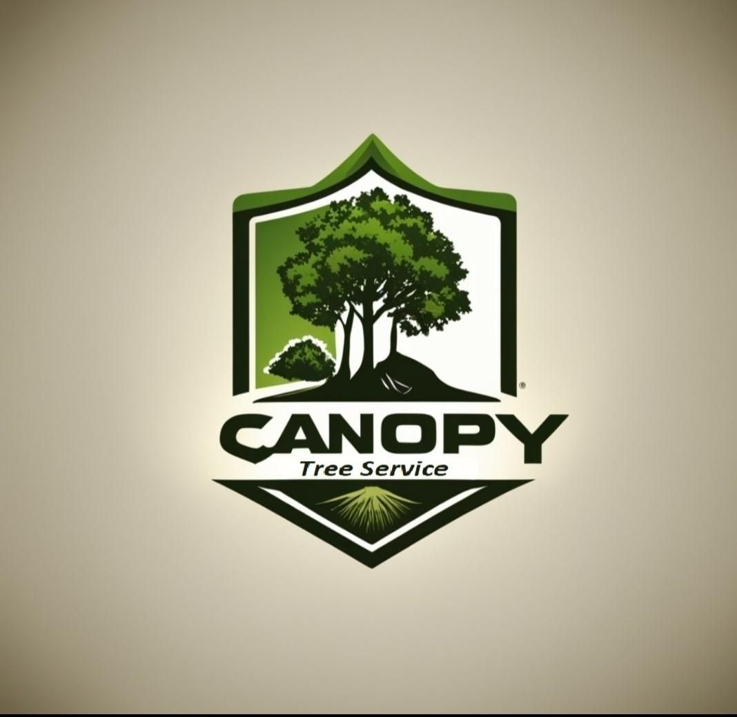 Tree Removal for Canopy Tree Service in Kenosha, WI
