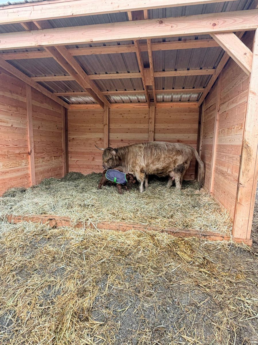 Other Builds for Oats Equestrian Fencing LLC in Arlington, WA
