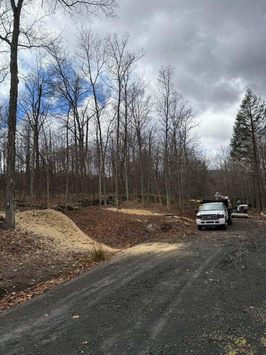 Tree Trimming for Sterlings Tree Removal in Cobleskill, New York