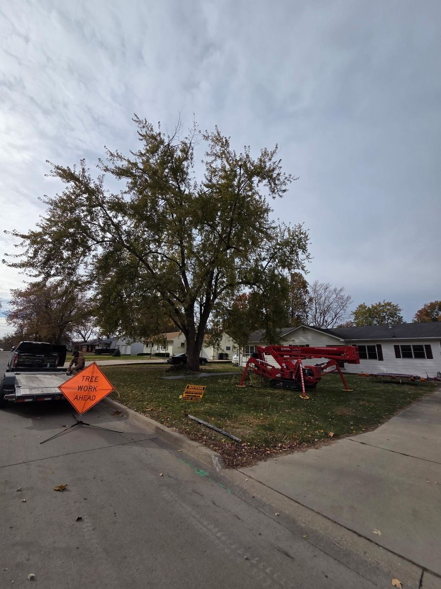 Tree Trimming for Lawn Ranger Yard And Tree Service LLC in Ottumwa, IA
