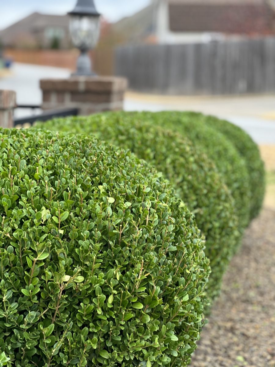 FLOWER BED MAINTENENCE for Pureleaf Lawncare LLC in Springdale, AR