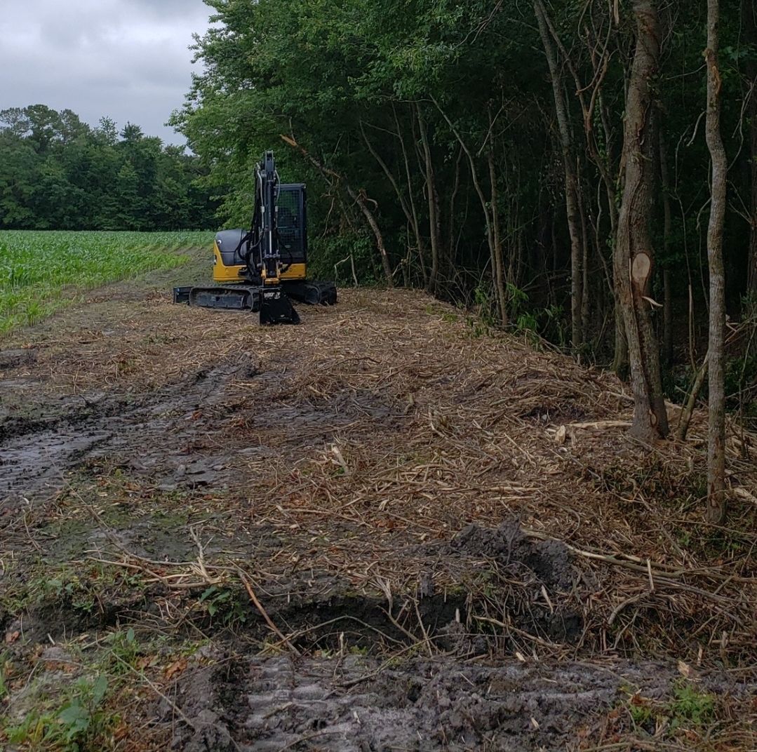 Forestry Mulching for TJ Farm and Land Management in Loris, SC