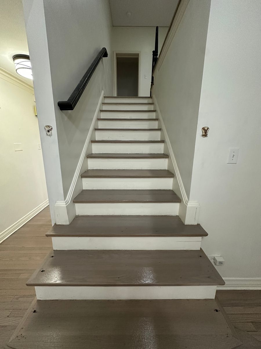 Cleaning Services for Alpha Flooring & Painting Services. in Centennial, CO