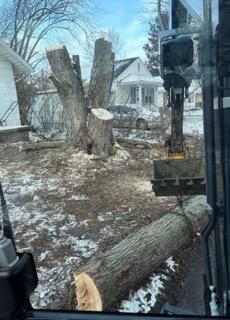 Tree Services for RNG Construction in Lafayette, IN