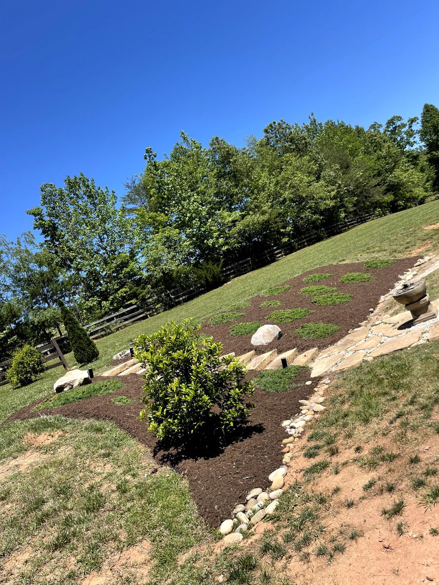 Plant Installation  for Hipp's Land Management in Tryon, NC