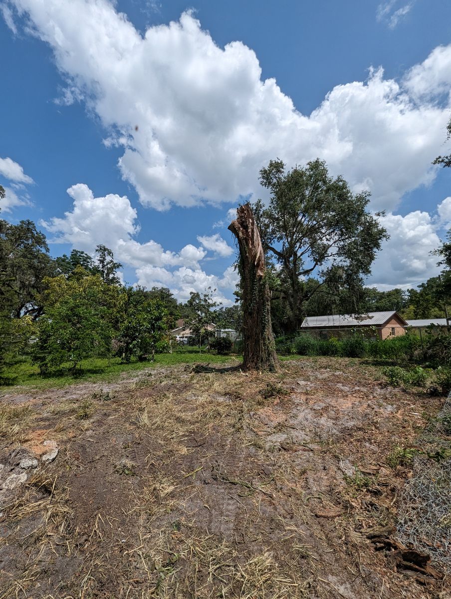 Land Clearing for Regal Tree Service and Stump Grinding in Wauchula, FL