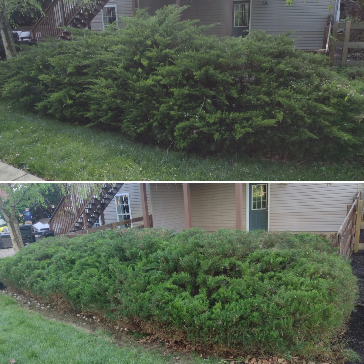 Landscape Maintenance for Green Shoes Lawn & Landscape in Cincinnati, OH