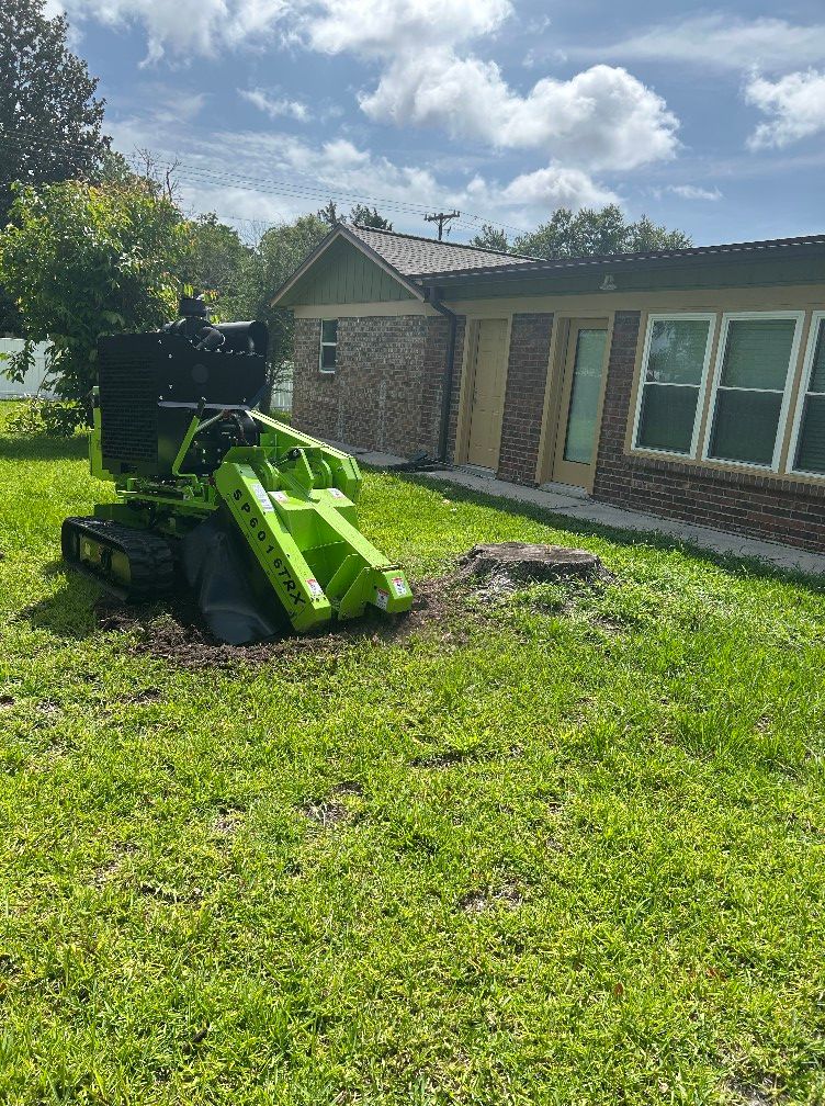 Stump Grinding for Stumps done right LLC in Middleburg, FL
