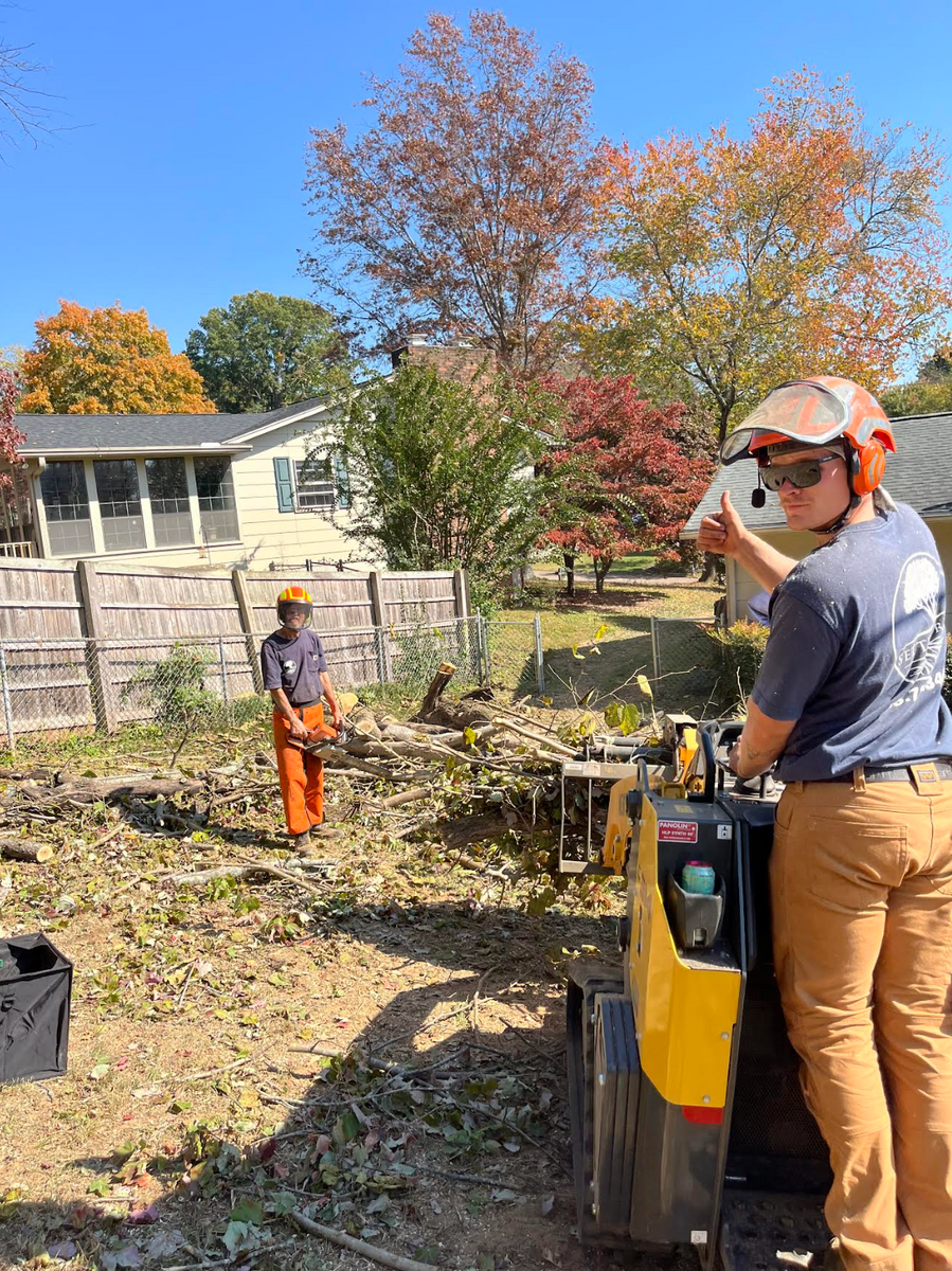 Spring Clean up  for Settle Tree Services in Knoxville, TN