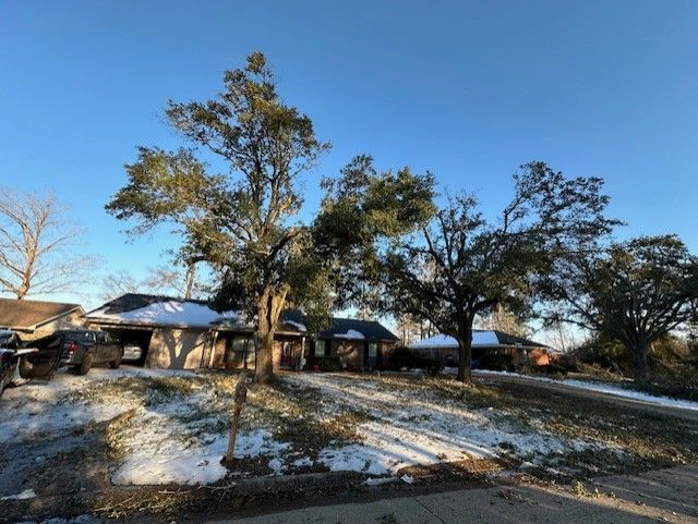 Tree Trimming for Spears Brothers Yard Care in West Monroe, LA