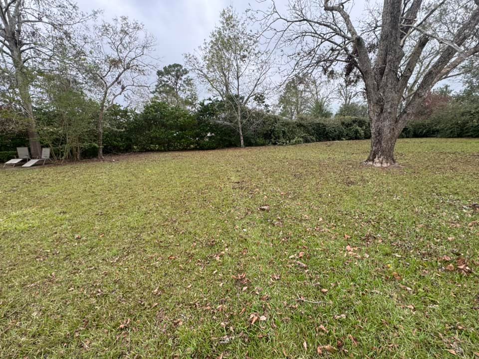 Lawn Maintenance for Sierra Verde Landscaping in Vidalia, GA