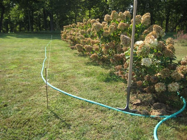 Flower Beds for Will's Wells in Cambridge, MA