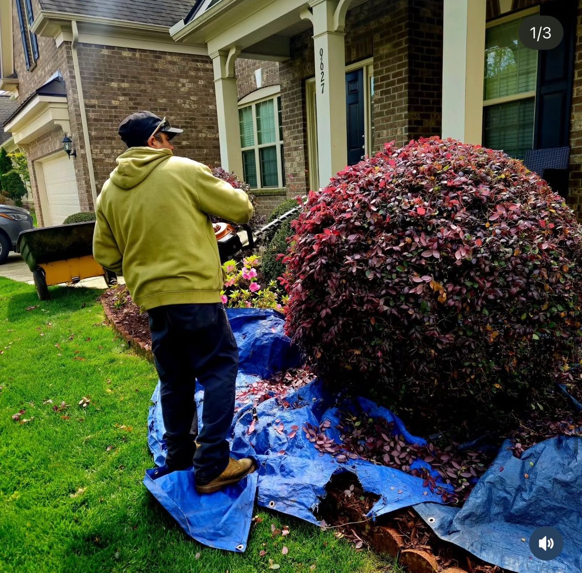 Landscaping for Surprising Odyssey in Gibsonville, NC