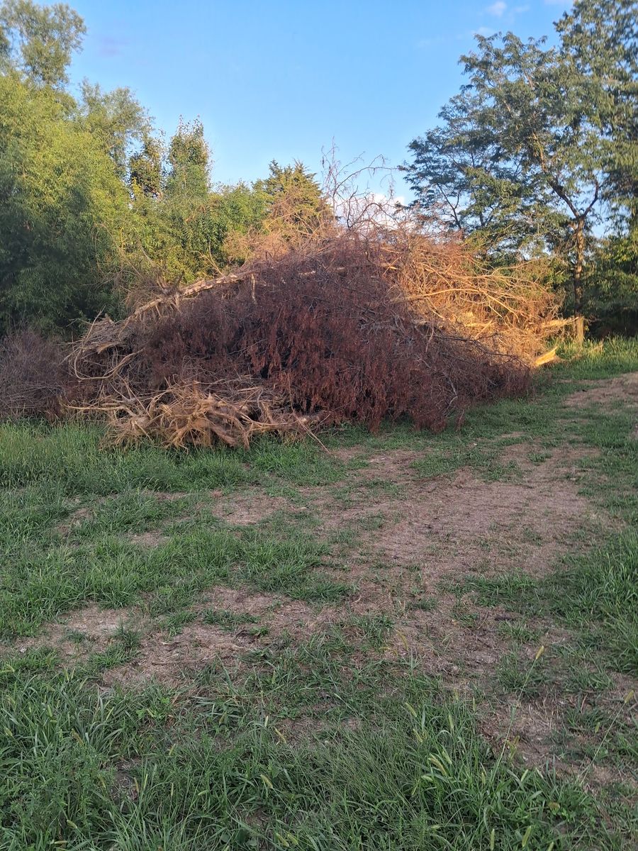 Land clearing for GBA Earthmoving in Keota, IA