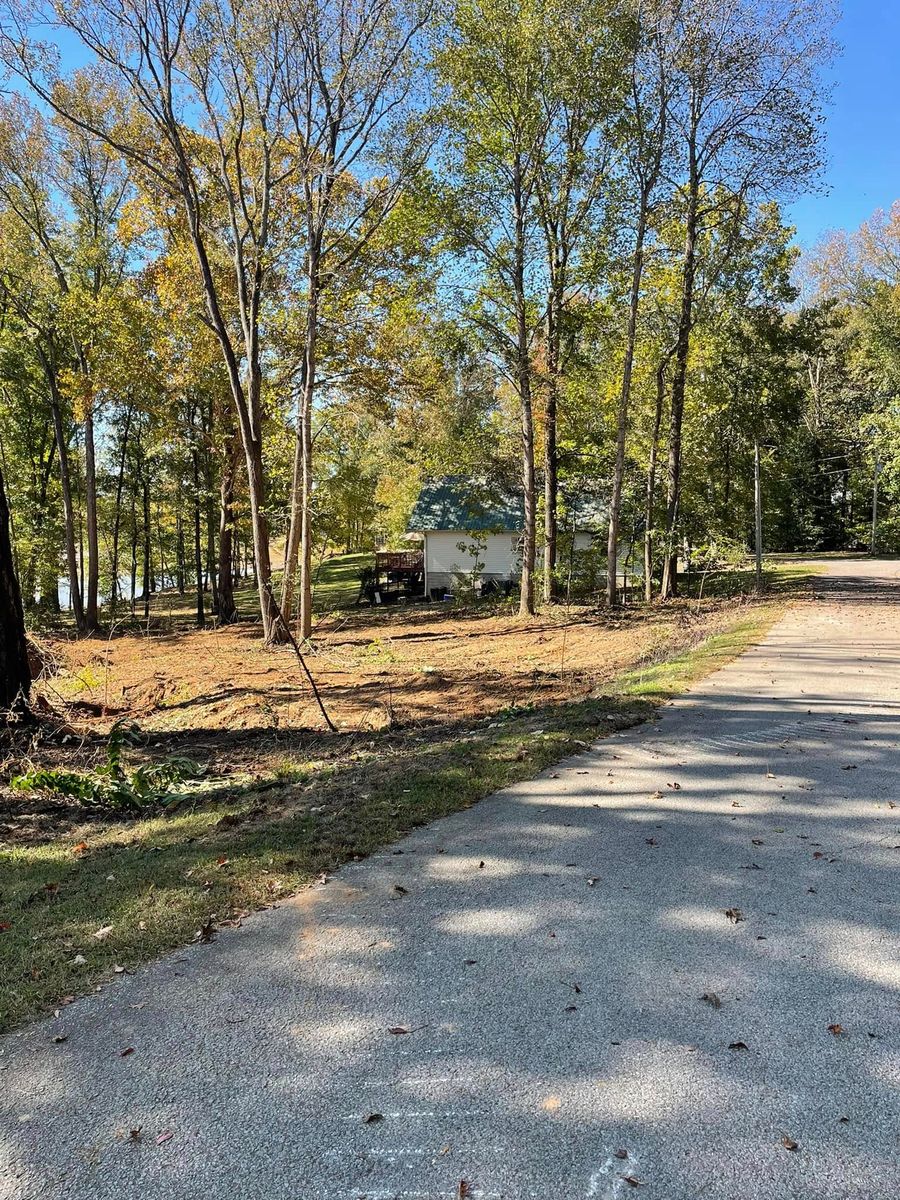 Forestry Mulching for Maness Trucking & Excavation in Lexington, TN