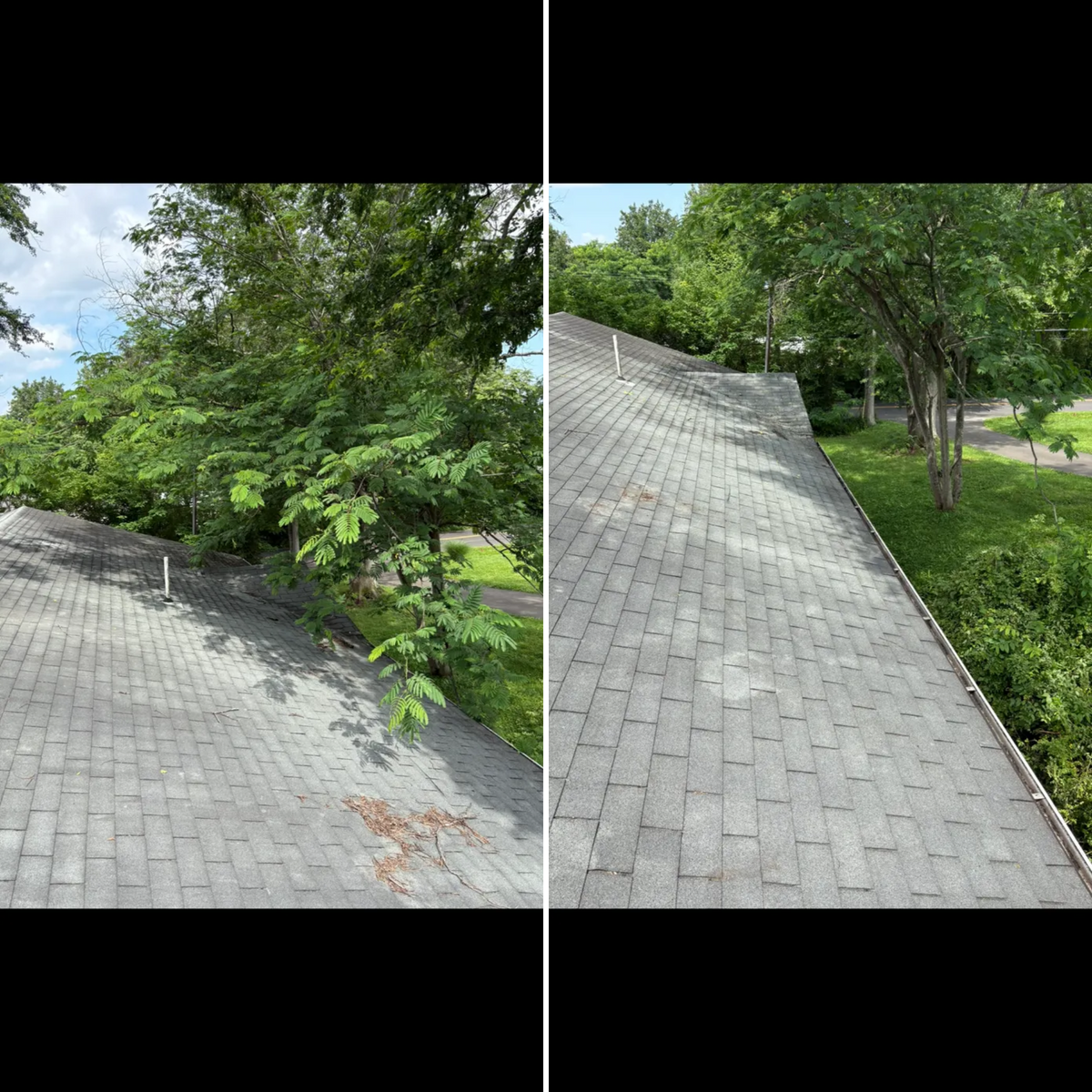 Tree Services for Mountainside Property Services LLC in Warrenton, VA