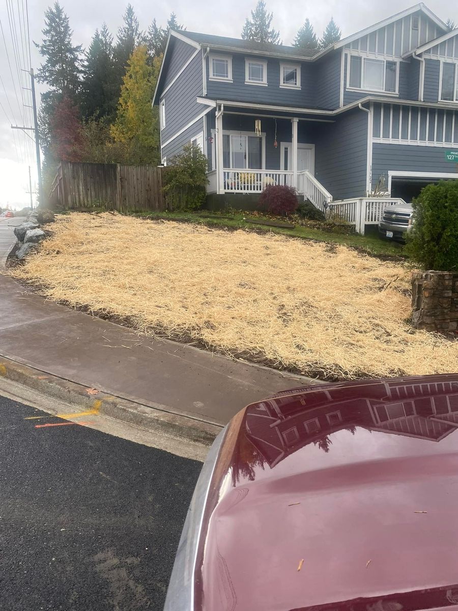 Fall Clean Up for Stealth Landscaping in Black Diamond, WA