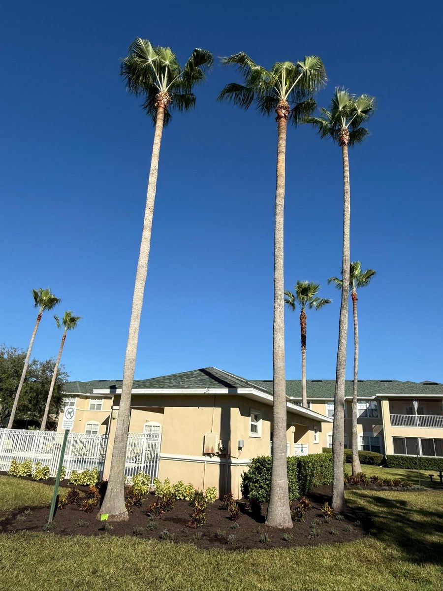 Landscape Design & Installation for Cunningham's Lawn & Landscaping LLC in Daytona Beach, Florida