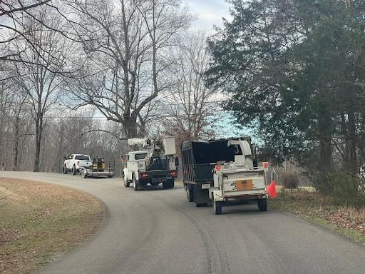 Tree Removal for Ross Family Tree Service LLC  in Hohenwald, TN